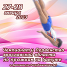 Чемпионат и первенство Ярославской области по прыжкам на батуте